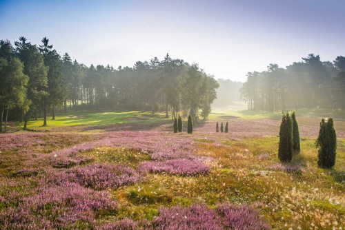 Hamburger Golf-Club Falkenstein